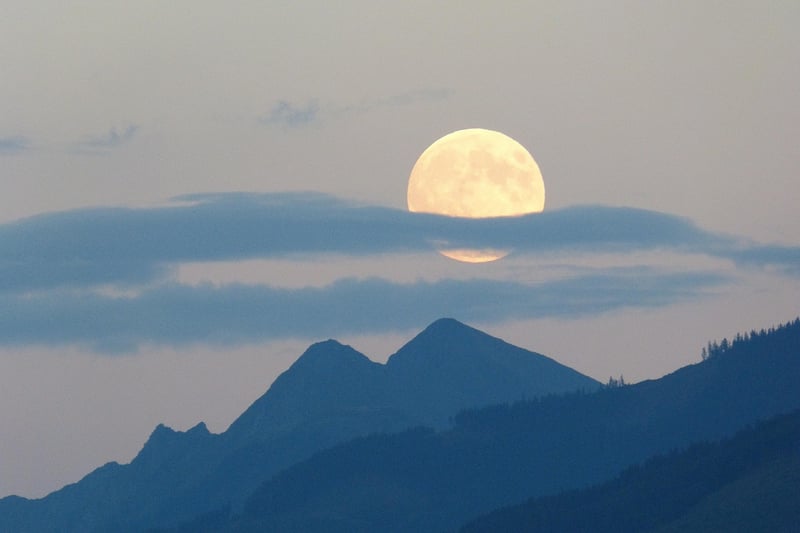 Moonlit Romance